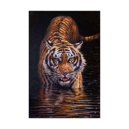 Michael Jackson 'Tiger In The Dark' Canvas Art,16x24